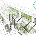 Winner – Aquaponics in the 12th district of Paris