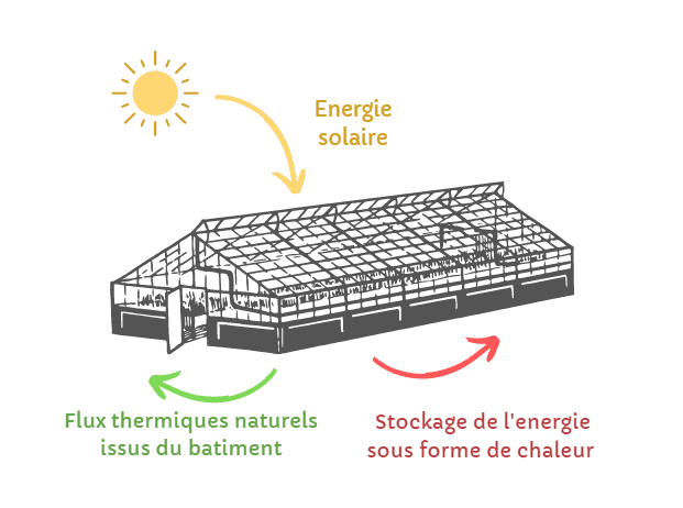 Serre bioclimatique