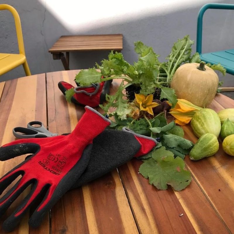 Potager La Ruche 4
